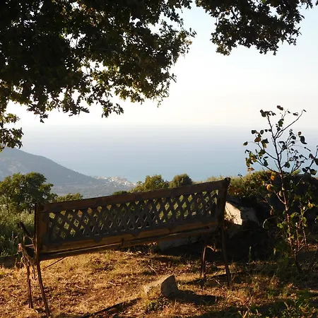 Domaine Victoria Willa *