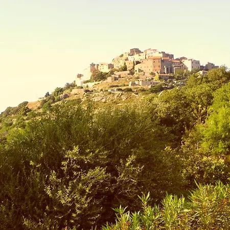 Domaine Victoria