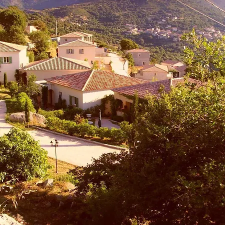 Villa Domaine Victoria Pigna